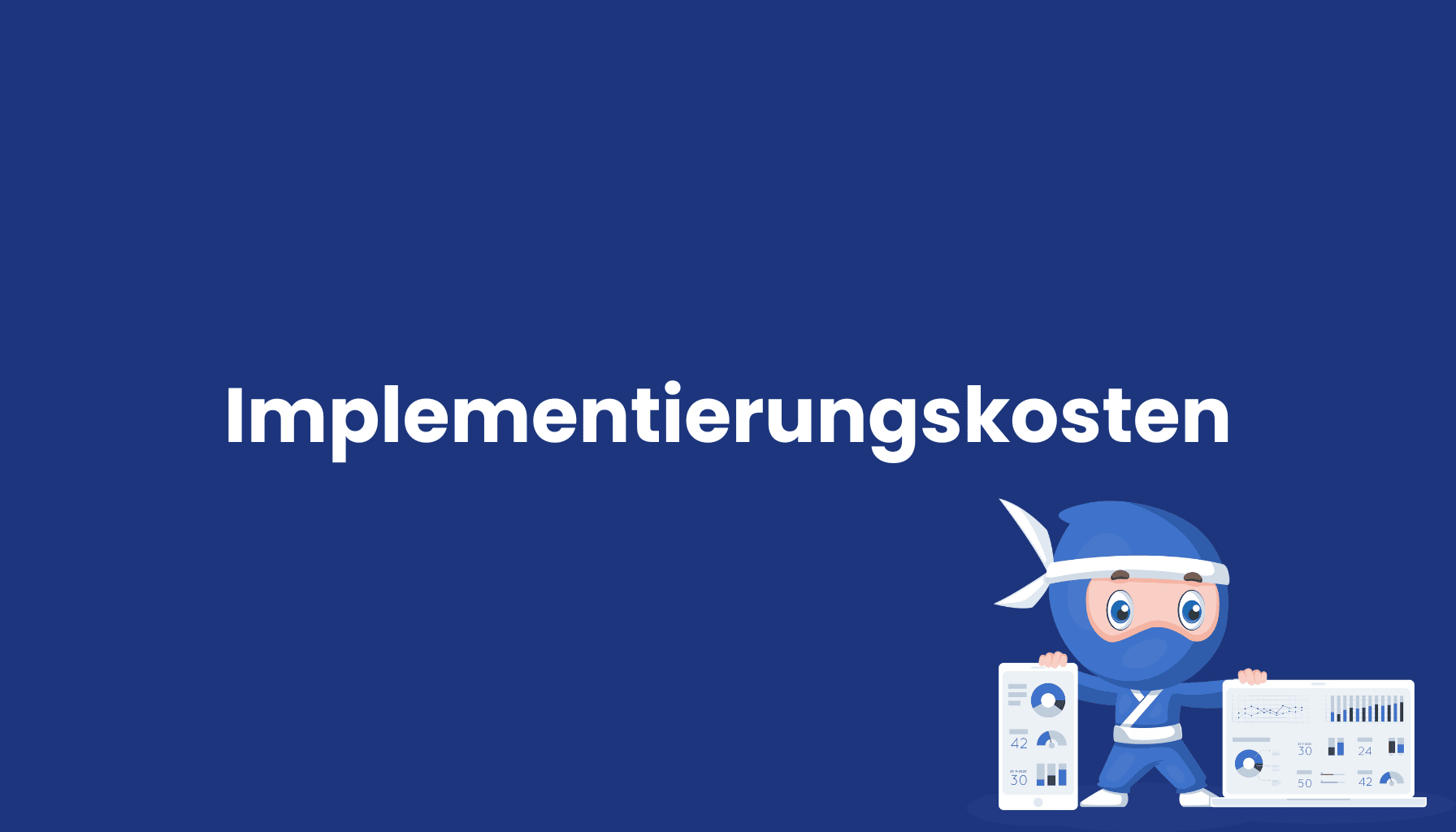 Implementierungskosten