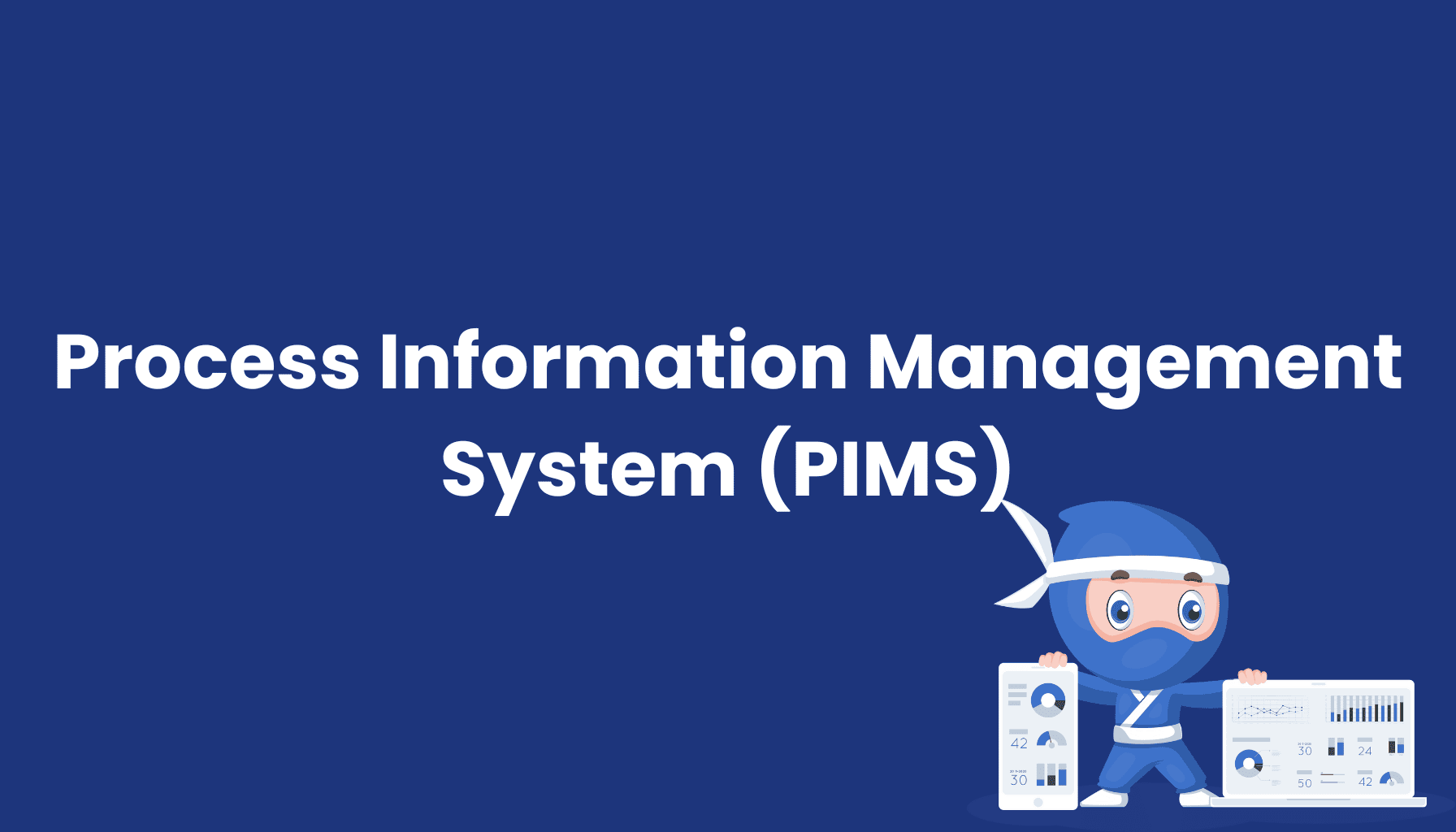 Process-Information-Management-System